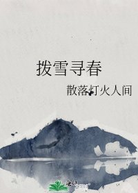 拨雪寻春