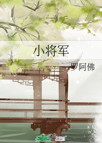 小将军