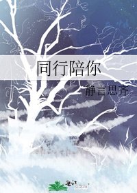 同行陪你