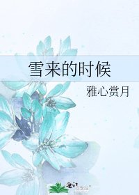 雪来的时候