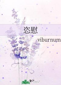 恣慰