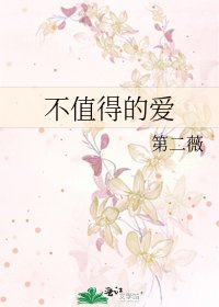 不值得的爱