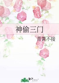 神偷三門
