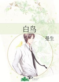白鸟