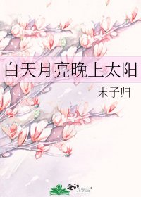 白天月亮晚上太阳