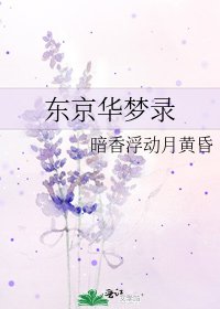 东京华梦录