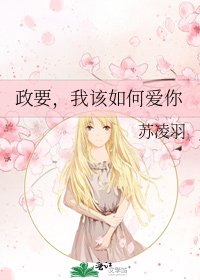 政要,我该如何爱你