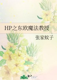 HP之东欧魔法教授