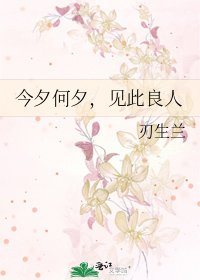 今夕何夕,见此良人