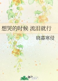 想哭的时候 流泪就行