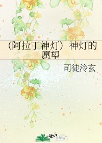 (阿拉丁神灯)神灯的愿望