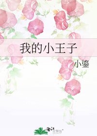 我的小王子