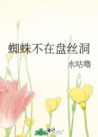 蜘蛛不在盘丝洞