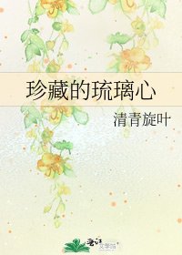 珍藏的琉璃心