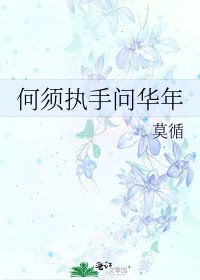 何须执手问华年