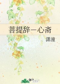 菩提辞-心斋