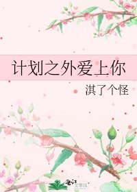 计划之外爱上你