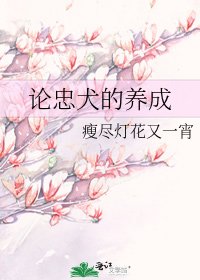 论忠犬的养成