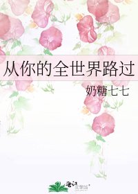 从你的全世界路过