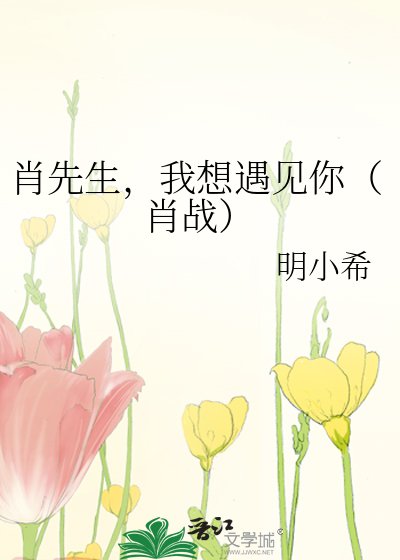 肖先生,我想遇见你(肖战)