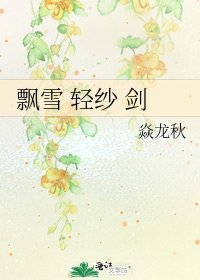 飘雪 轻纱 剑
