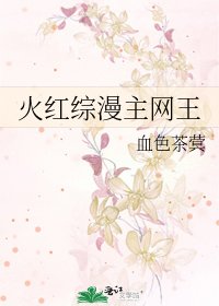 火红综漫主网王