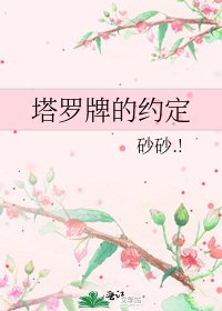 塔罗牌的约定