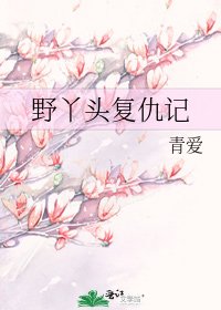 野丫头复仇记