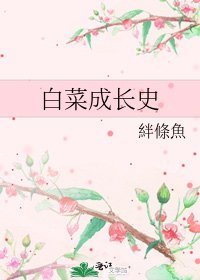 白菜成长史