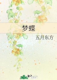 梦蝶