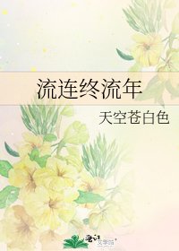 流连终流年