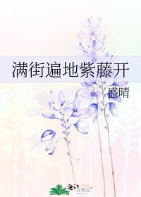 满街遍地紫藤开