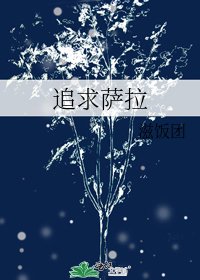 追求薩拉