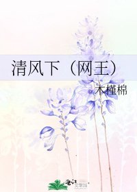 清风下(网王)