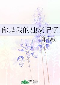 你是我的独家记忆