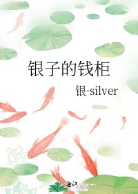 银子的钱柜