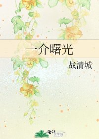 一介曙光