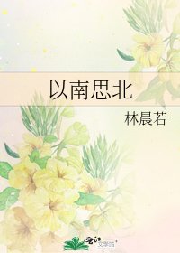 以南思北