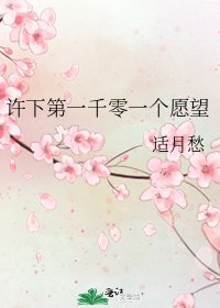 许下第一千零一个愿望