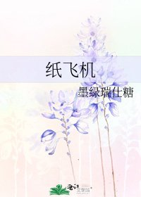 纸飞机