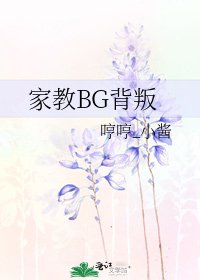 家教BG背叛