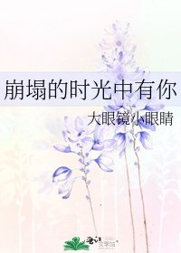 崩塌的时光中有你
