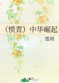 (愤青)中华崛起
