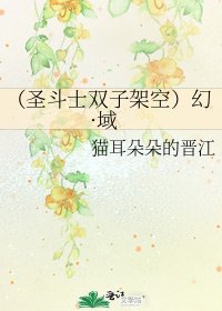 (圣斗士双子架空)幻·域