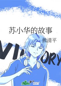 苏小华的故事