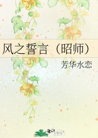 风之誓言(昭师)