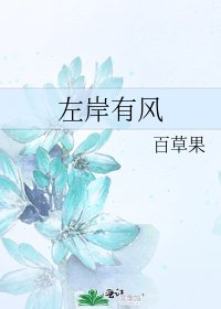 左岸有风