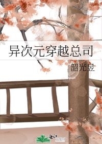异次元穿越总司