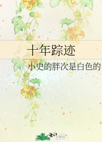 十年踪迹