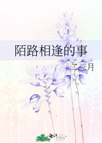 陌路相逢的事